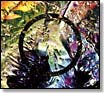 BAY 104CD